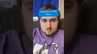 The Jondaliner Reaction Time 