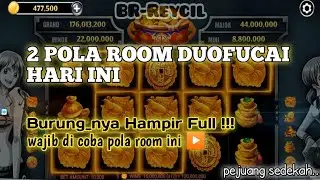 2 POLA ROOM DUOFUCAI TERBARU HARI INI [[Burungnya Hampir full]]