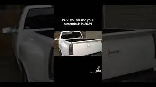 POV: you still use your Nintendo ds in 2024