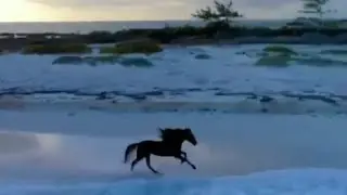 Две стихии