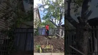 20 августа 2020 г.