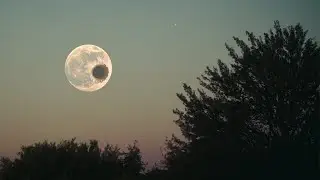 Scientists have finally figured out what's inside the moon!