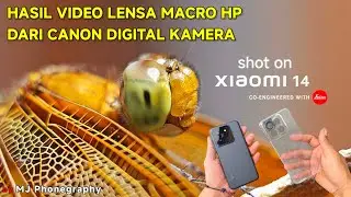Hasil Video LENSA MACRO HP dari Digital Camera CANON Power Shot S3 IS #macrophotography