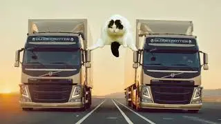 Форсаж 95 ➤ Кошка Чечня БлоХер