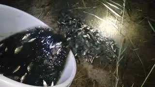 Запуск Карася в водоём!!!