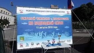 Открытый чемпионат г.Владивостока по подводной охоте со свободным выбором акватории 11 августа 2018