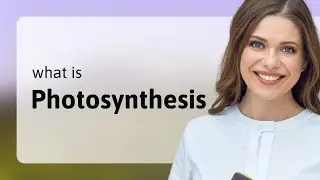 Photosynthesis — what is PHOTOSYNTHESIS definition
