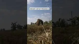 Kita ga boleh nyerah, tetap semangat! #shortsvideo #trendingshorts #fypp #fypシ゚viral