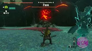 Frox / Thank you! | The Legend of Zelda: Tears of the Kingdom | 26st Aug