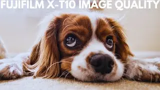 FujiFilm X-T10 📸 Sample Photography - Image Quality