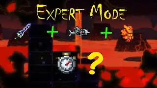 How long would it take to beat Terraria Expert mode if it were NG+?