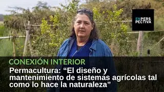 ¿Qué es la permacultura?