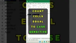 Count Cells Equal to Case Sensitive
