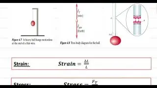 Physics172 CH04 Stress, Strain & Youn's Modulus Introduction