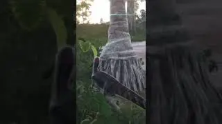 Как сдать ЕГЭ?😂
