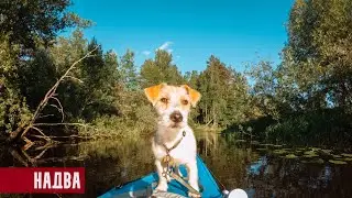 НАДВА