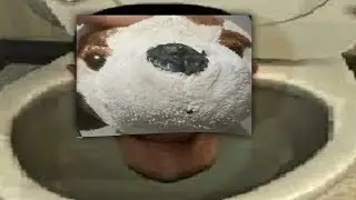 bobik'a toilet 5