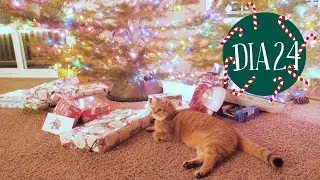 VLOGMAS 24 // DECORANDO NOSSA ÁRVORE DE NATAL - VÉSPERA DE NATAL NOS ESTADOS UNIDOS