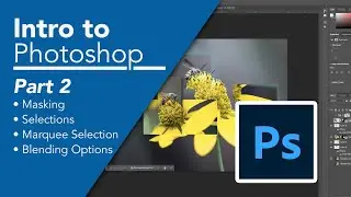 Photoshop Bootcamp for Beginners (Part 2): Create a Hockney inpsired photo, using selection tools