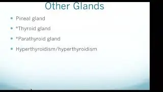 HESI A2 Exam: Endocrine System