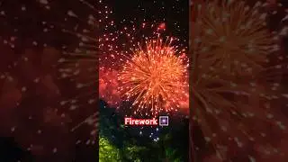 Out of the context 😂 #fireworks #hanabi #softbikas #docker #oracle