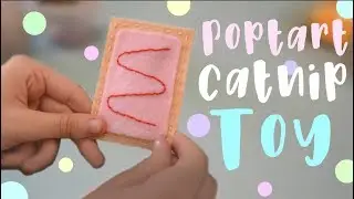 Watch Me Make A Poptart Catnip Toy