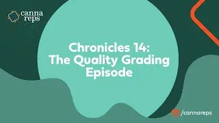 The Quality Grading Episode: How Cannabis Sommeliers Grade Weed | CHRONICLES 14