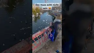 Möwen füttern verboten! 🚫 