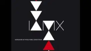 IAMX- Great Shipwreck of Life