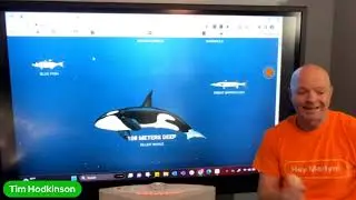 AI Teacher Assistant - Merlyn