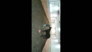 Облик обойди