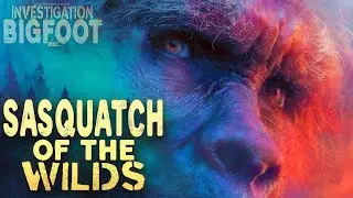 Sasquatch of the Wilds: Investigation Bigfoot