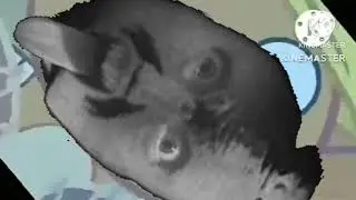 ytp booba its load round 8