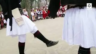 Петричките 