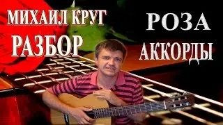 Михаил Круг Роза Аккорды | Разбор на гитаре