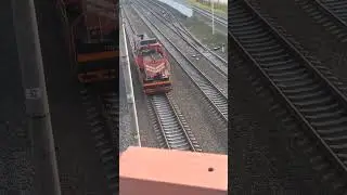 Прибытие поезда в Минск  