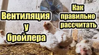 Вентиляция в птичнике
