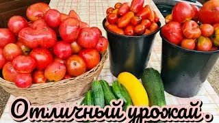 Ну как тут болеть,если есть работа.👍