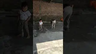 semangat ikut lomba menyambut kemerdekaan RI😂