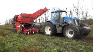 Aardappels rooien met DeWulf 2060 & New Holland T8050 (1/3)