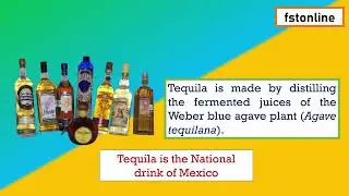 Manufacturing Process of Tequila