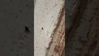 Bijām Kupravā video beigu nav