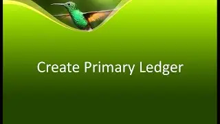 Create PRIMARY LEDGER