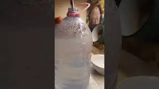 как в роднике