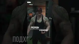How many sets should I do per exercise? 