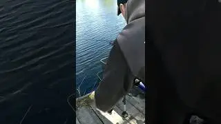 👍ШИКАРНЫЙ УЛОВ КАРПА НА ФИДЕР. 🎣Рыбалка 2023. 