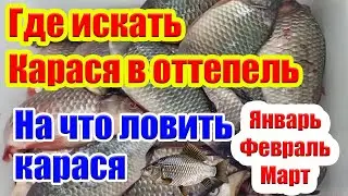 Где искать Карася в оттепель Как ловить Карася зимой Насадка на карася Рыбалка на карася зимой