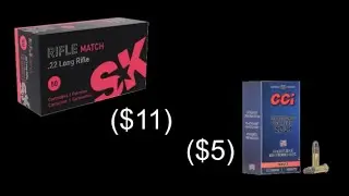 SK RIFLE MATCH VS CCI SV 50 YARDS!!! Ruger 10/22 1/4" GROUPS
