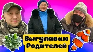 РОДИТЕЛИ ВЫШЛИ В ЛЮДИ СПУСТЯ ПОЛГОДА. МАМА В ЦВЕТОЧНОМ РАЮ, ПАПА В РЫБНОМ.