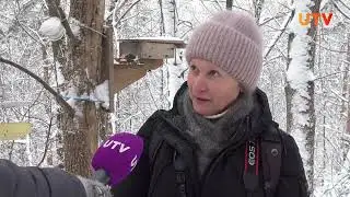Почему птицы из Башкирии не улетели на юг? Как они переживают морозы?